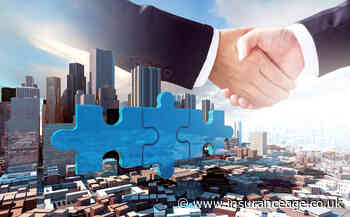 Stubben Edge launches capital arm
