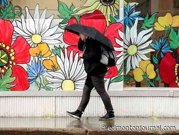 Edmonton weather: Morning showers bring happy lawns to life