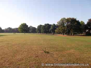 Cator Park Beckenham: Over 100 trees ‘illegally felled’