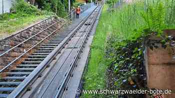 Stäffeleslauf Bad Wildbad: 300 Läufer wagen sich auf die Stufen