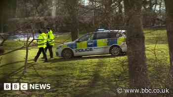 Morpeth: Woodland bones belong to man missing since 1992