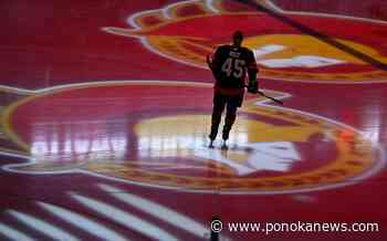 Michael Andlauer reaches agreement to buy NHL’s Ottawa Senators