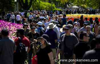 How population growth is affecting everything from jobs to housing in the economy