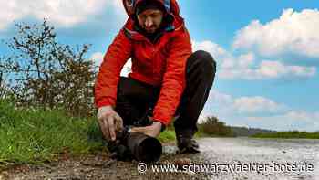 Calw in Szene gesetzt: Das Schöne aus ungewohnter Perspektive