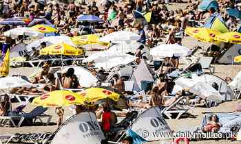 Netherlands will dish out free sun cream to residents in bid to tackle soaring skin cancer rates 