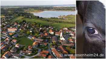 Vier Wochen nach Tiertragödie in Rimsting: Noch viele Ungereimtheiten und offene Fragen