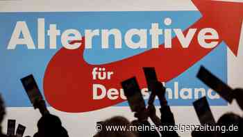 Forsa-Umfrage: AfD bei 19 Prozent und vor SPD