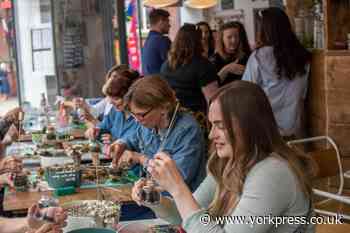 Layla Grainger launches new business York Terrariums