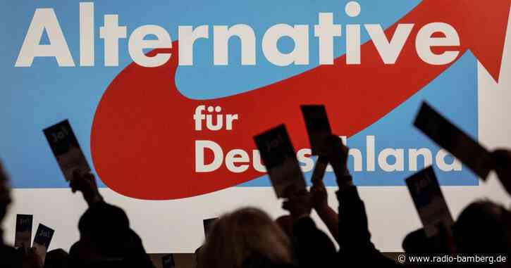 Forsa-Umfrage: AfD bei 19 Prozent und vor SPD