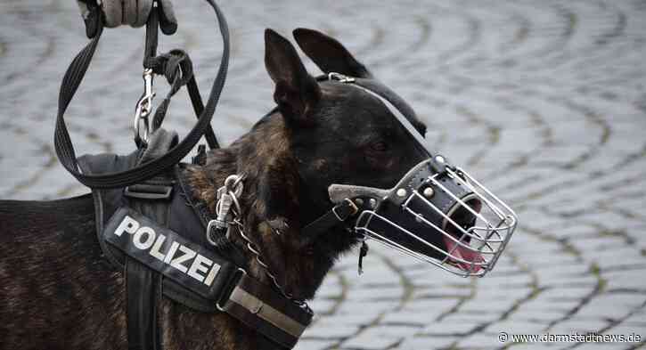Mann löst Polizeieinsatz in Darmstadt aus – 51-Jähriger nach Festnahme in Fachklinik eingewiesen