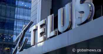 Telus delays Alberta fibre optic network, blames Ottawa’s Huawei ban