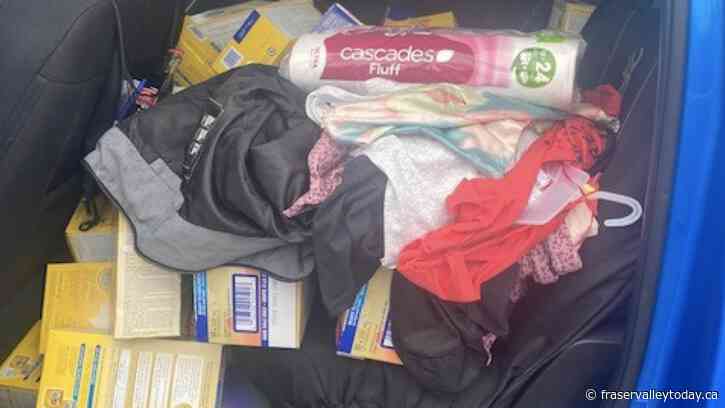 Mission RCMP arrests repeat shoplifters who stole over $2K in baby formula