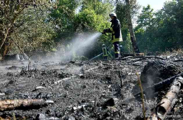 FW-RD: 400 Einsatzkräfte bekämpfen Waldbrand bei Mielkendorf