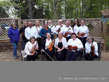Strings Galore hits the Music in the Park stage June 21
