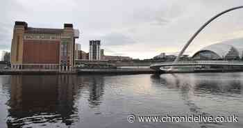 Baltic's stunning rooftop restaurant SIX to serve plant-based menu for one night only