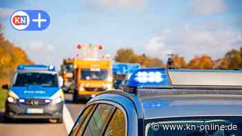 A 210 bei Kiel: Entlaufene Kuh sorgt für Stau und büxte der Polizei aus