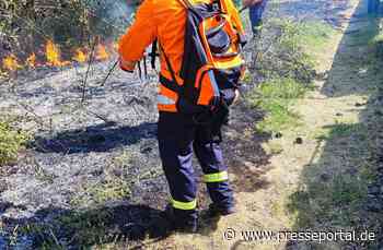 FW Celle: Drei Vegetationsbrände innerhalb von zwei Stunden in Celle!