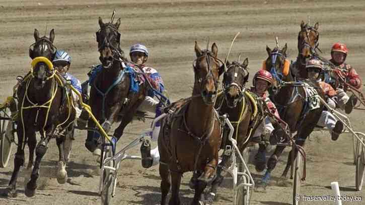 Its My Show heads to Pepsi North America Cup chasing sixth straight win