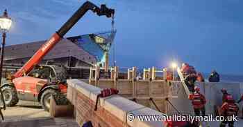 Firefighters and coastguard called in to help rescue injured seal stranded on Hull's 'Oss Wash'