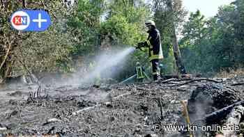 Waldbrand bei Mielkendorf: 400 Einsatzkräfte kämpfen gegen Flammen
