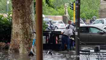 Ponte Milvio allagato, tavolini e topi trascinati via dall’acqua. E i commercianti provano a stappare i tombini