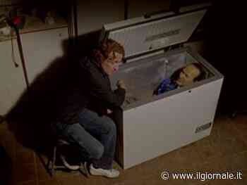 "Shooting Silvio", "Ho ammazzato Berlusconi". Quando libri e film riversavano l'odio