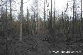Rain should help Quebec firefighting effort as more than 7,200 people still evacuated