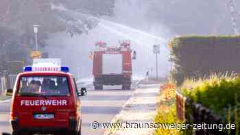 Waldbrände in MV - Landrat „ein bisschen optimistisch“