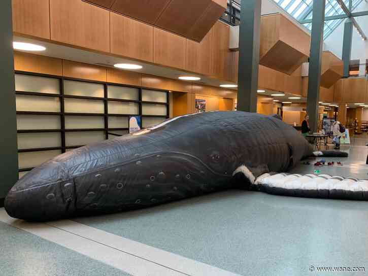Whale of a time: Nile the Whalemobile visits Fort Wayne