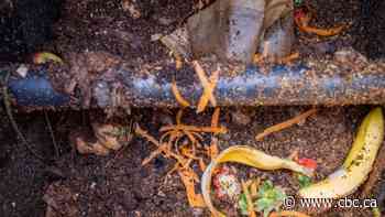 City of Regina works toward implementing curbside organic waste pickup