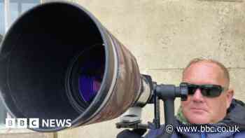 The minders with their eyes on the Cambridge peregrines