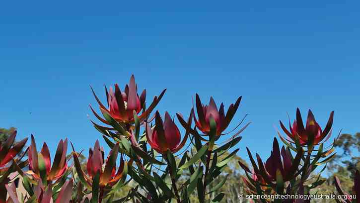 Big congratulations to the 2023 King’s Birthday Honours recipients