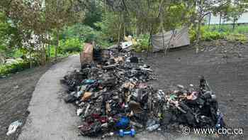 No injuries after temporary encampment goes up in flames near Winnipeg riverbank, city says