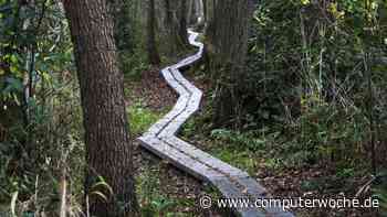 Studie IT-Freelancing 2023: Freiberufler sind zurück in der Spur