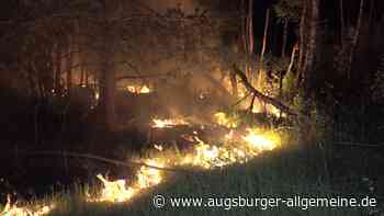 Warnung: So hoch ist die Waldbrandgefahr in Augsburg und der Region