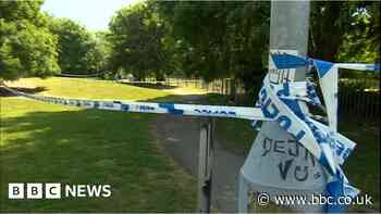 Man critical after attack in Hull park