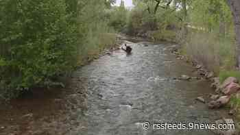 Identifican a niño de 9 años que se ahogó en Boulder Creek