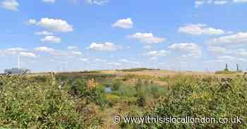 'Formal enforcement action' over Beddington Farmlands delays