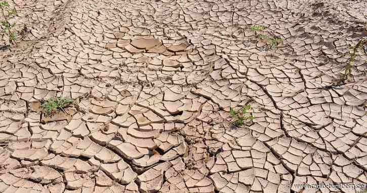 Dürresommer befürchtet: droht in der Region eine Wasserknappheit?