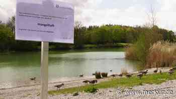 Bakterien-Messungen „einwandfrei“: Baden in beliebtem See also doch unbedenklich