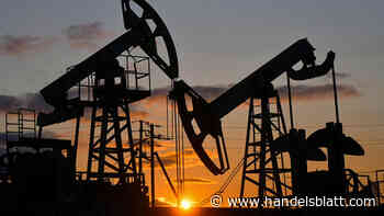 Energiewende: Internationale Energieagentur sieht nachlassendes Wachstum der Ölnachfrage
