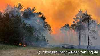 Die Lage in Waldbrandgebieten stabil