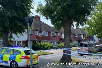 Man arrested in Harrow after Wembley double stabbing