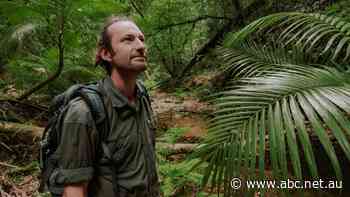 Employees of third-party contractor for NSW Forestry plead not guilty to assaulting environmentalists