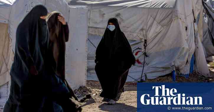 Gillian Anderson and Stanley Tucci back calls to rescue British families in Syria