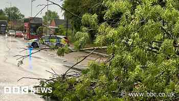 Trees fall and roads flood as storm sweeps West Midlands