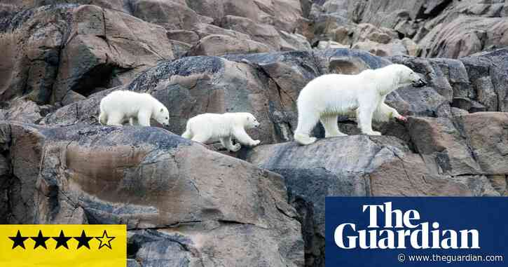 Our Planet II review – so much of David Attenborough’s new show is just astonishing