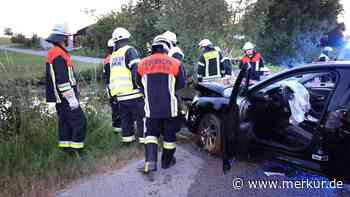 Katze ausgewichen: Auto versinkt in Weiher