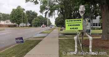 'Don't let Emily's life go in vain': Batavia residents urge Route 31 safety measures now