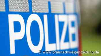 Wolfenbüttel: Hund läuft auf 13-Jährige zu – Jugendliche stürzt